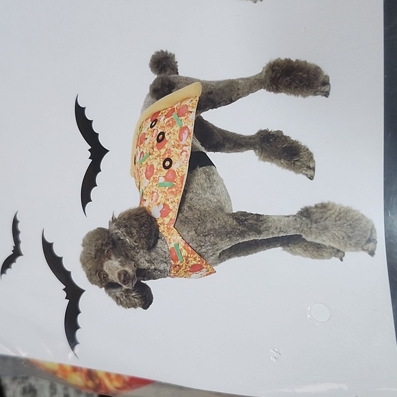 VIBRANT LIFE HALLOWEEN MEDIUM DOG PIZZA ๐ SLICE COSTUME - Picture 2 of 9